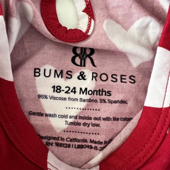 NEW Bums & Roses Bamboo Heart Ruffle Dress - Picture 6 of 6